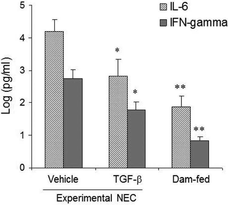 FIGURE 4.