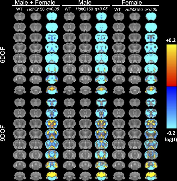 Fig 8