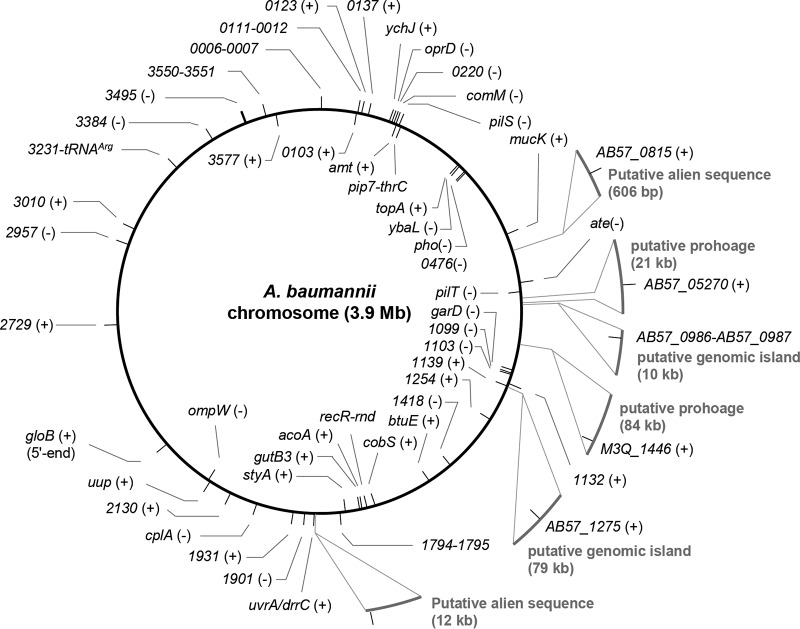 FIG 3