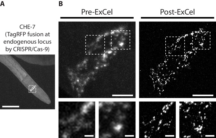 Figure 7.