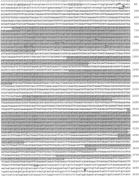 graphic file with name pnas01057-0077-a.jpg