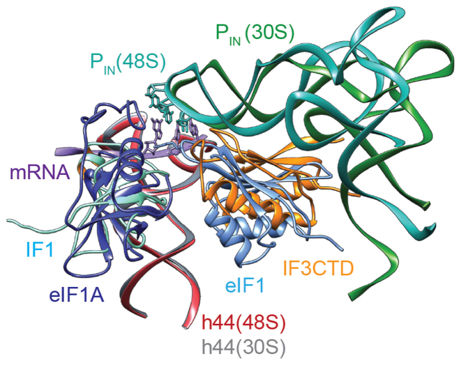 Figure 4.