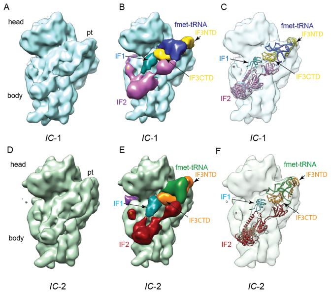 Figure 1.