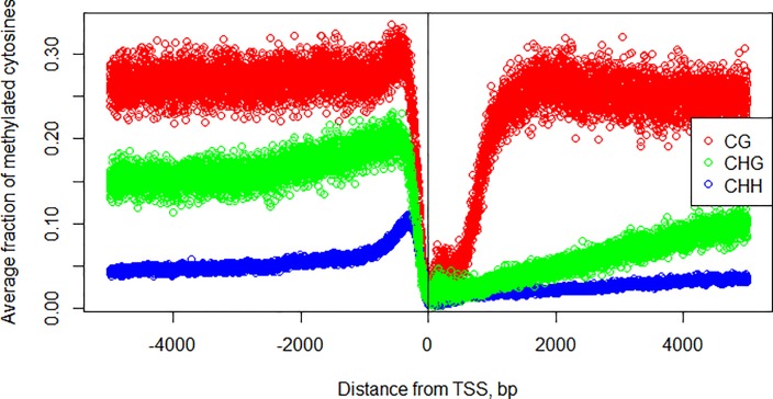 Fig 12