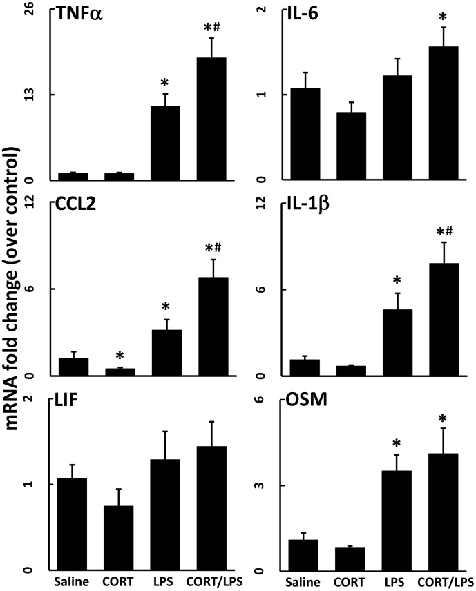 Fig 6