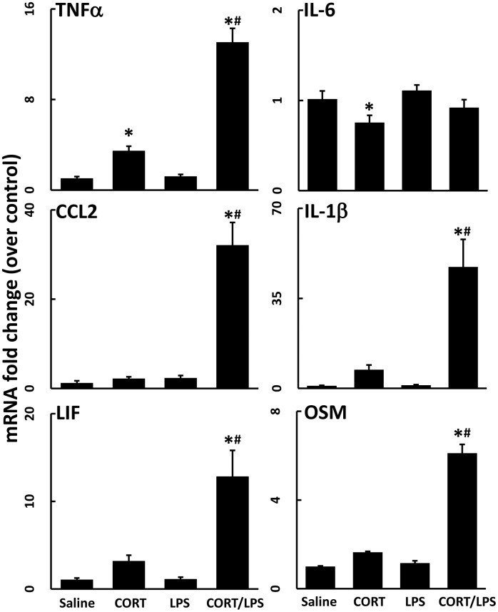 Fig 4