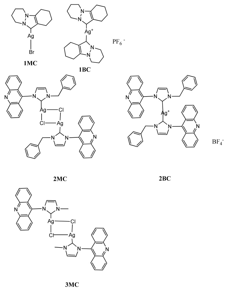 Scheme 2