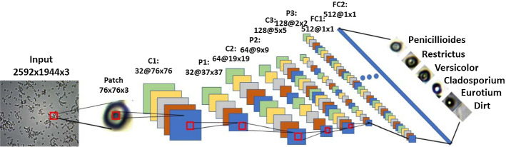 Fig. 18