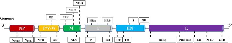 Figure 1.