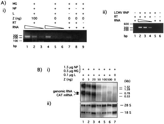 FIG. 6