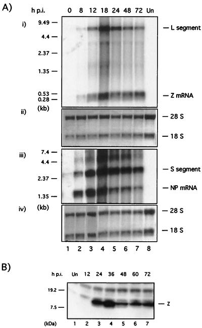 FIG. 5