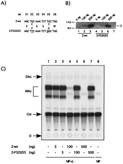 FIG. 7