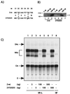 FIG. 7
