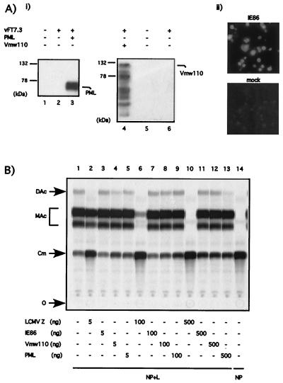 FIG. 8