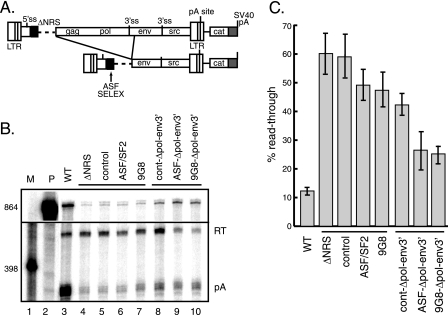 FIG. 8.