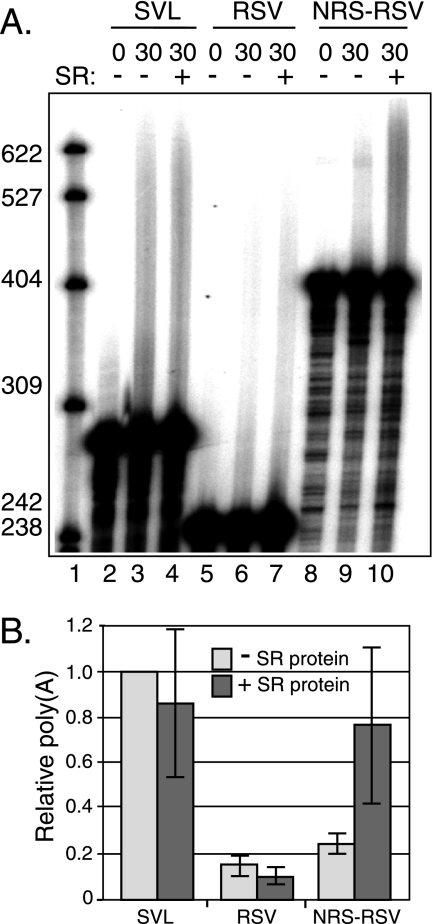 FIG. 5.