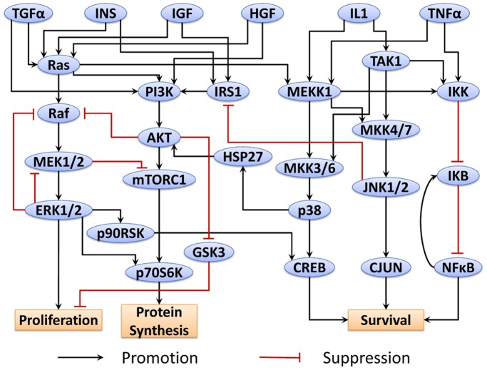 Figure 13