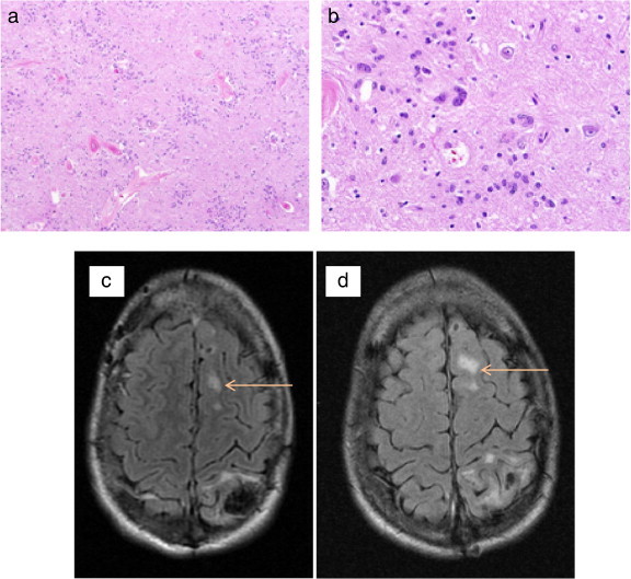 Fig. 9