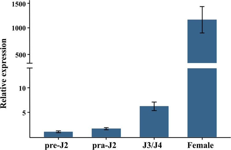 FIGURE 2