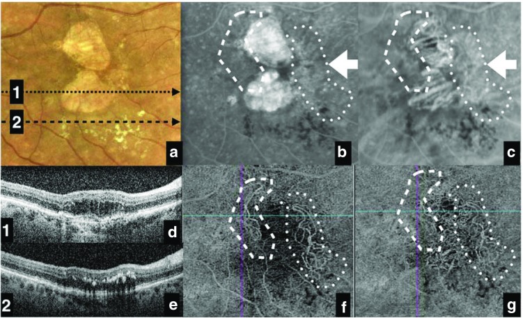 Fig. 3