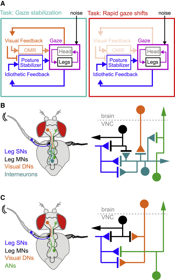 Figure 7