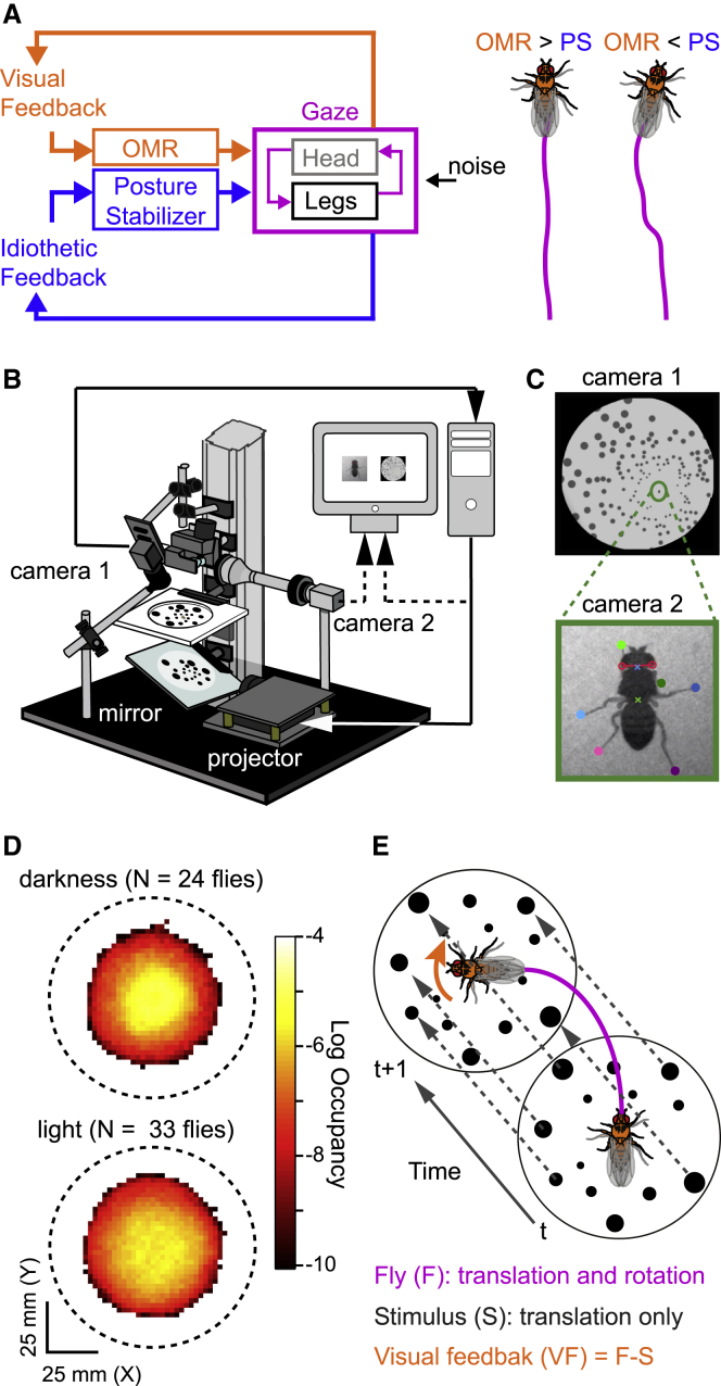 Figure 1