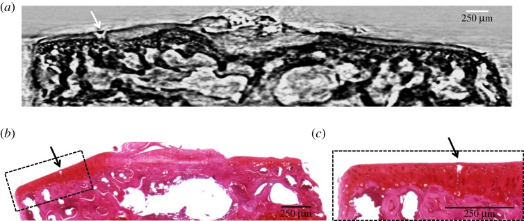 Figure 3.