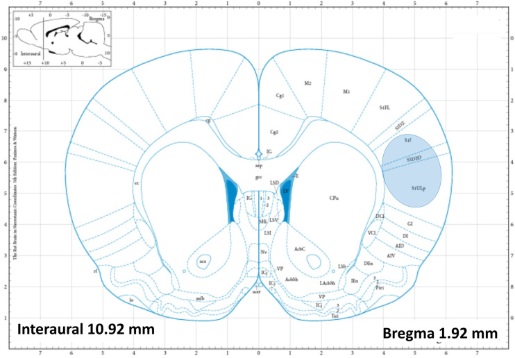 FIG. 4.