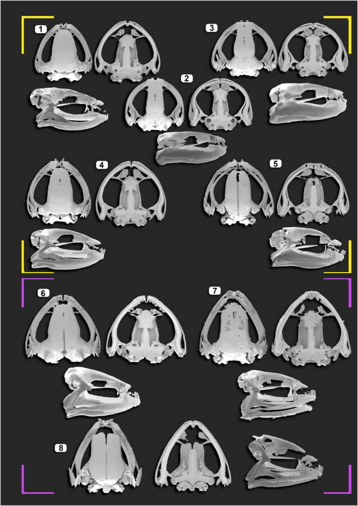 FIGURE 2