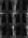 FIG. 8.