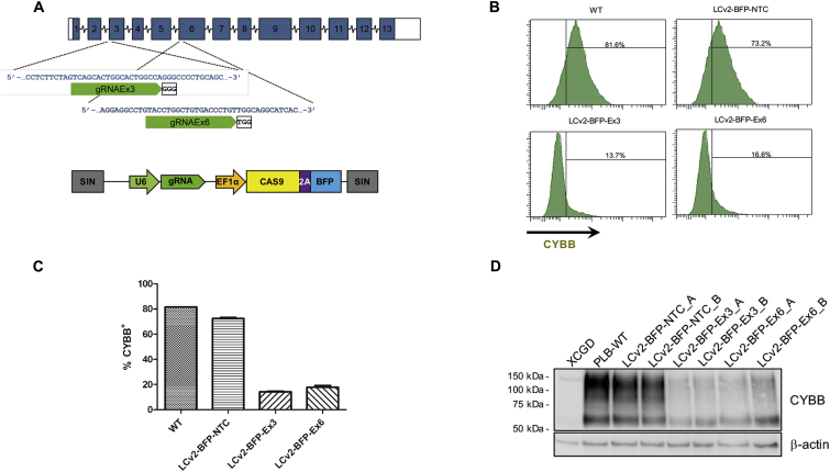 Figure 3