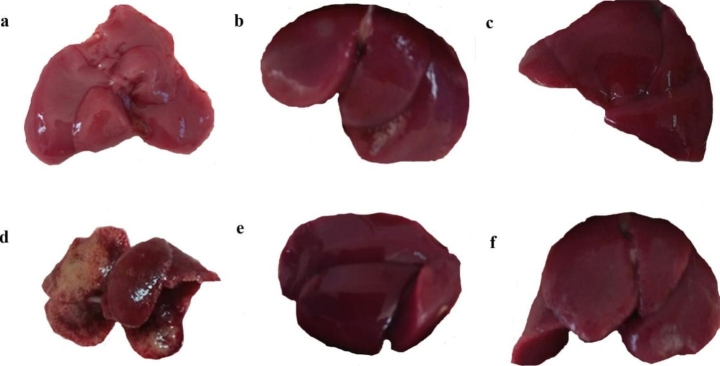 Figure 2