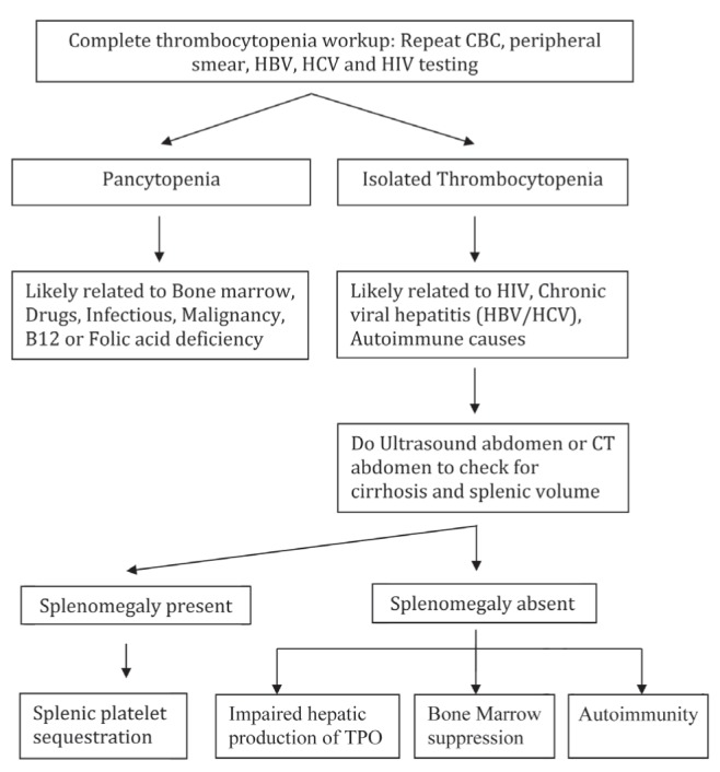 Figure 1)