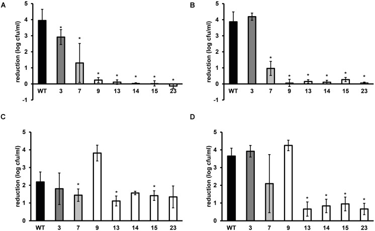 FIGURE 2