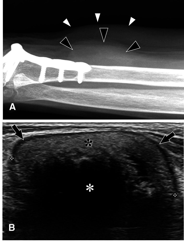 Fig. 28