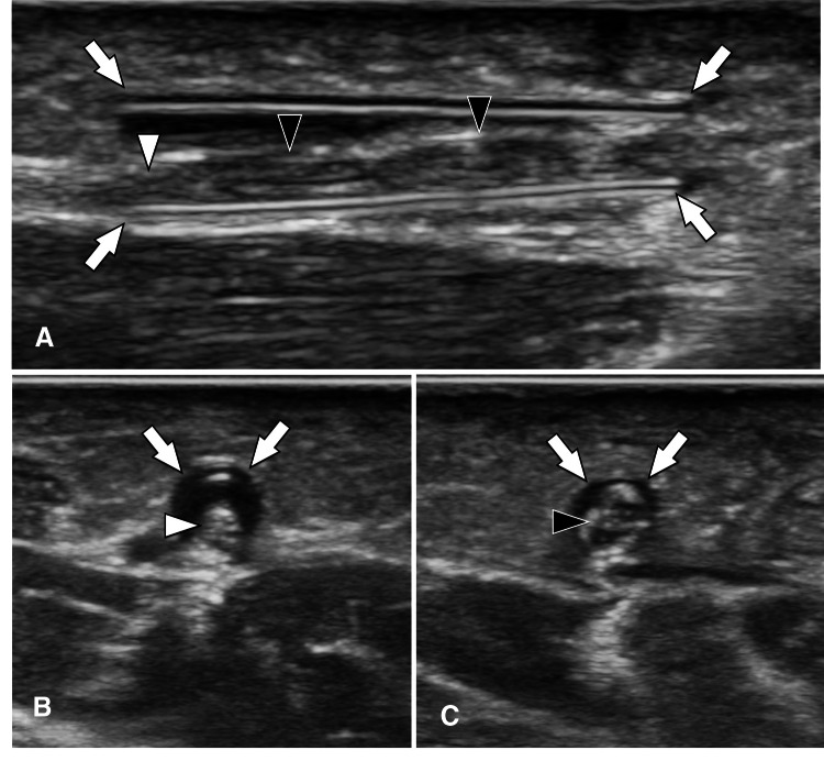 Fig. 7