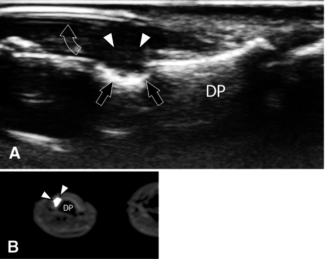 Fig. 29