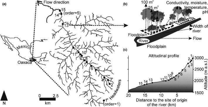 Environment‐driven changes in diversity of riparian plant communities ...