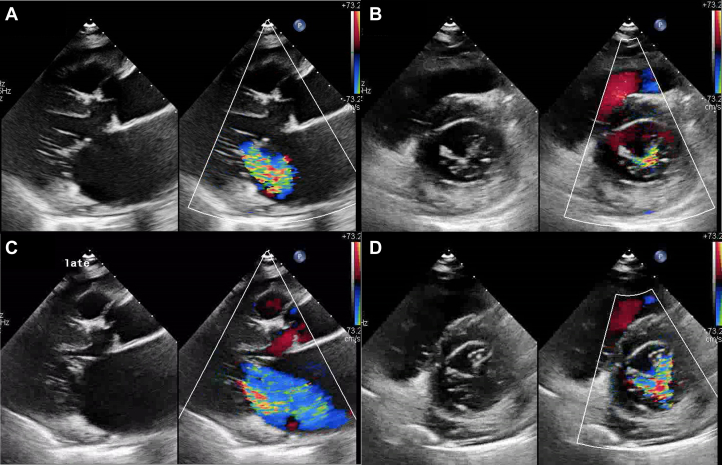 Figure 3