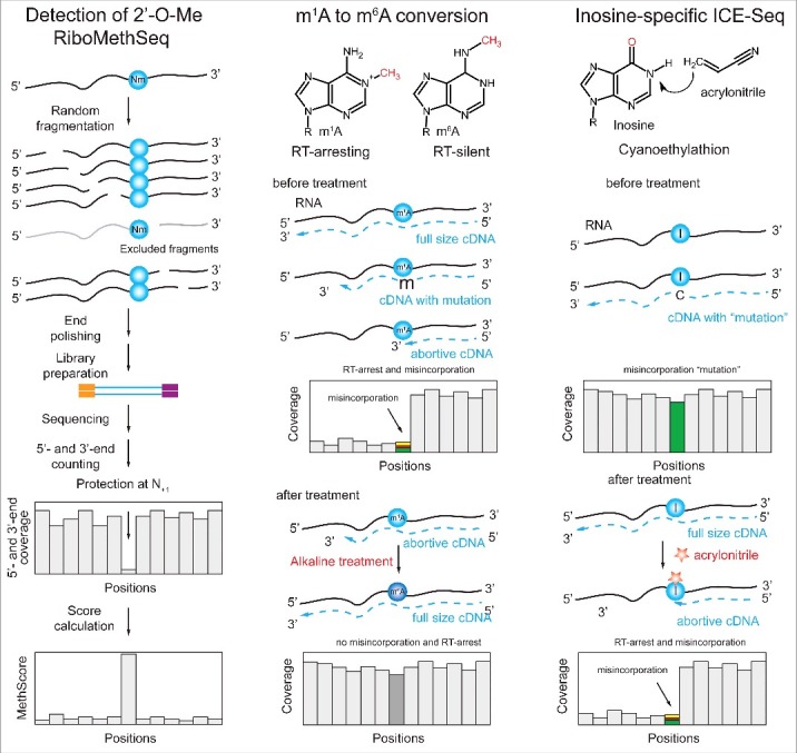 Figure 6.