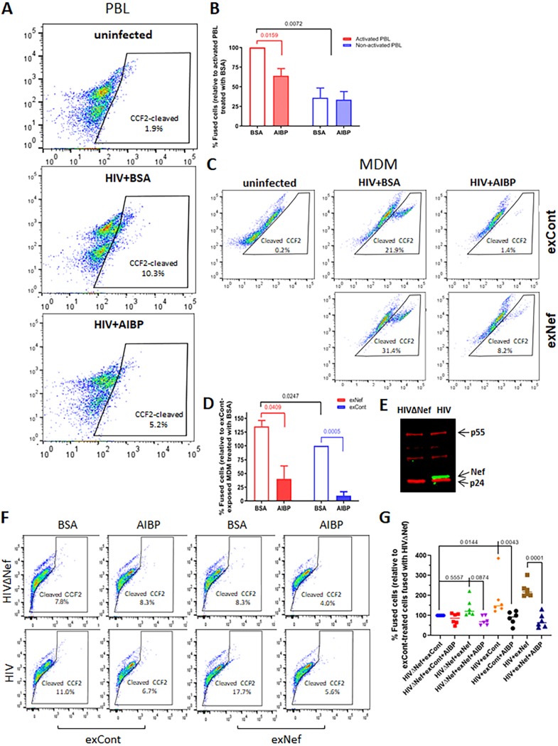 FIG 3