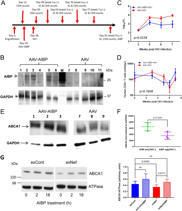 FIG 4