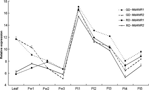 Fig. 5.