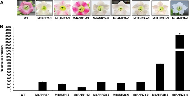 Fig. 6.