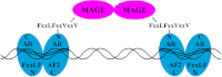 FIGURE 12.