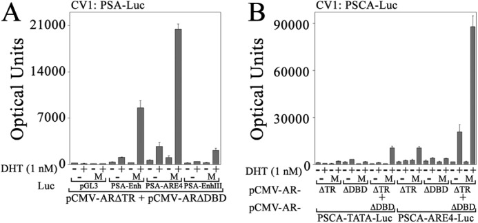 FIGURE 11.