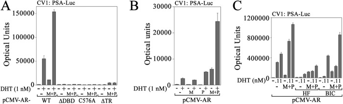 FIGURE 5.