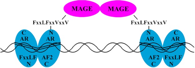 FIGURE 12.