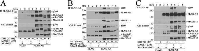 FIGURE 10.