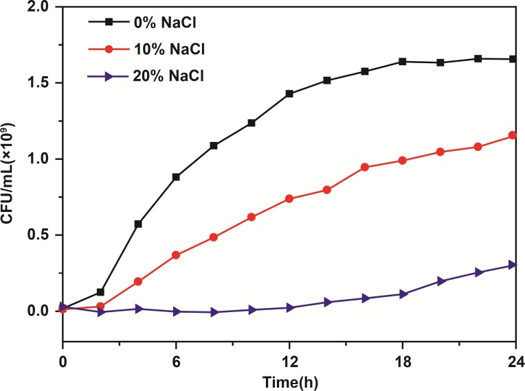 FIGURE 2